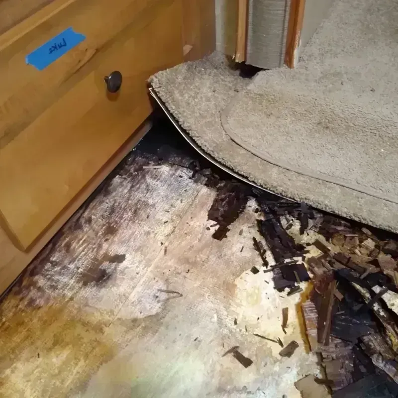 Wood Floor Water Damage in Winnebago, MN